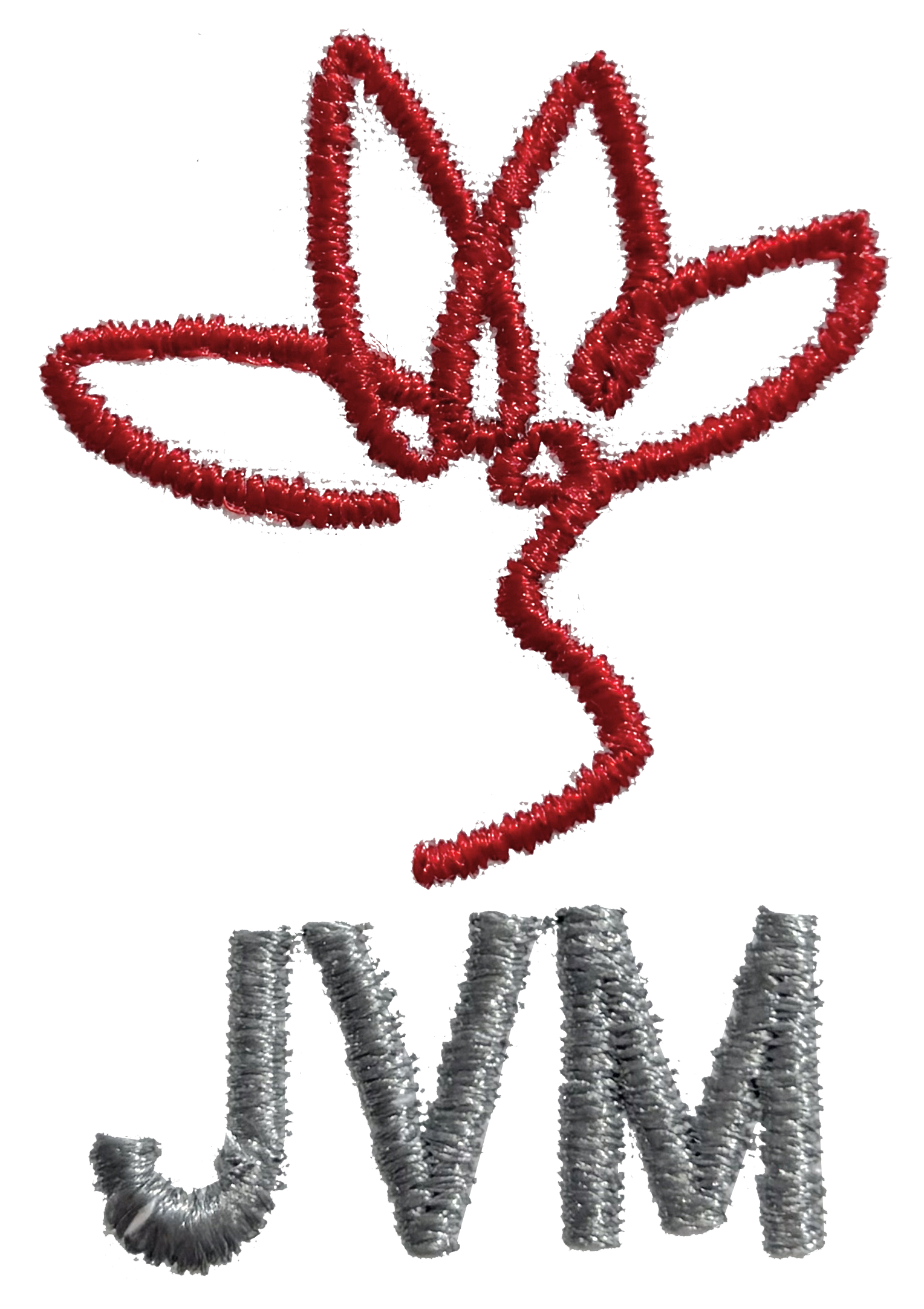 Jindal Vidya Mandir